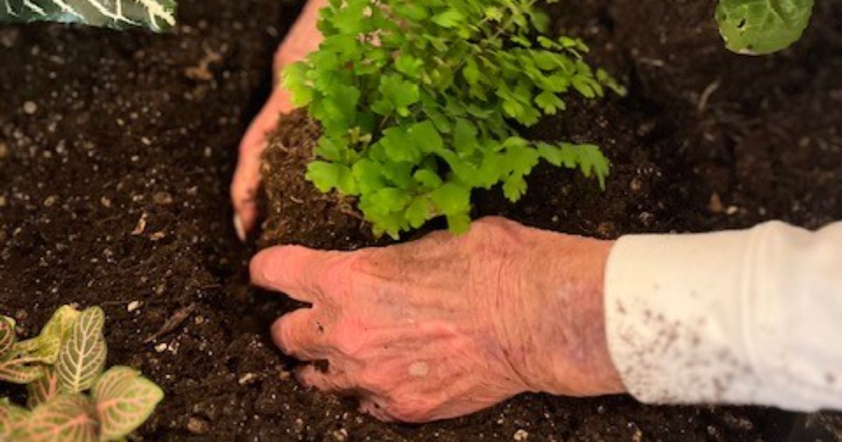 Eldergrow Garden at Someren Glen