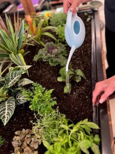 Tending to Eldergrow Garden at Someren Glen