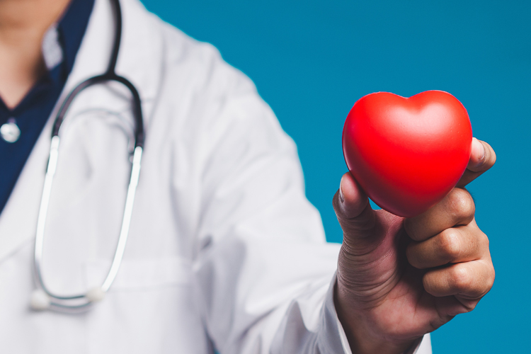 doctor holding plastic heart