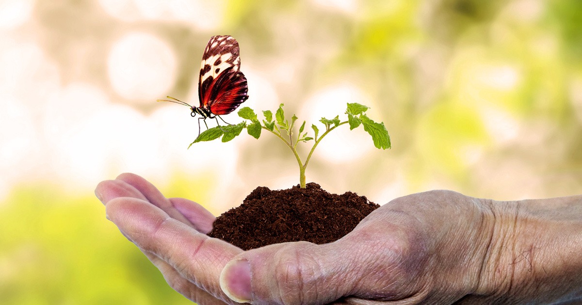 CLC hand with plant and butterfly
