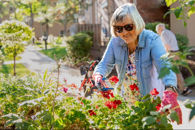 someren glen resident tending to flower garden