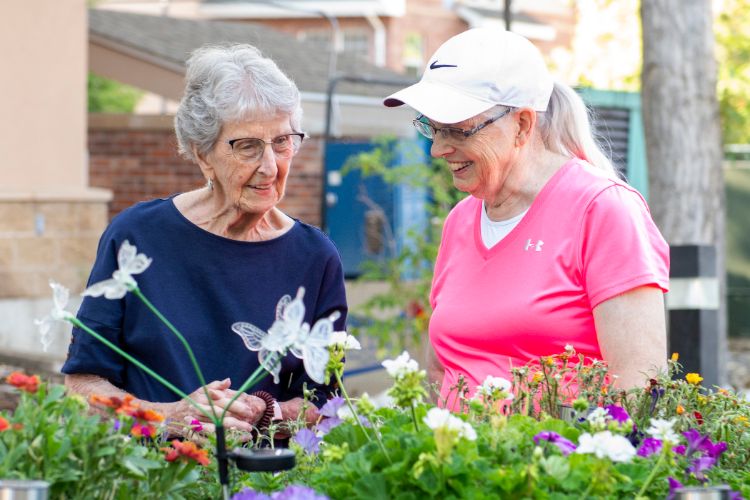 someren glen residents talking over raised garden beds