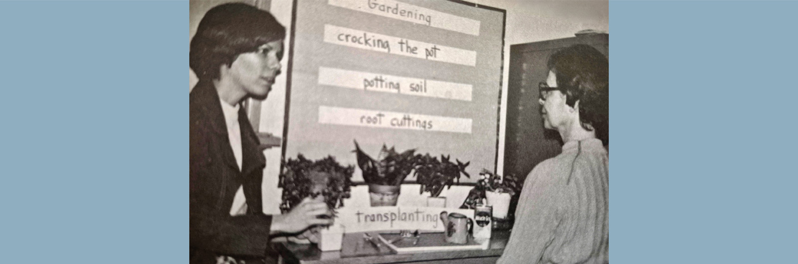 ann perry teaching for web